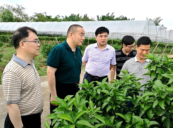 中化化肥副總經(jīng)理、中化涪陵董事長(zhǎng)李仰景到廣西市場(chǎng)考察